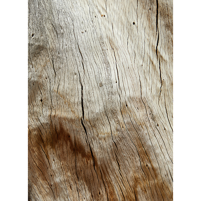 2-pexels-laker-6156577