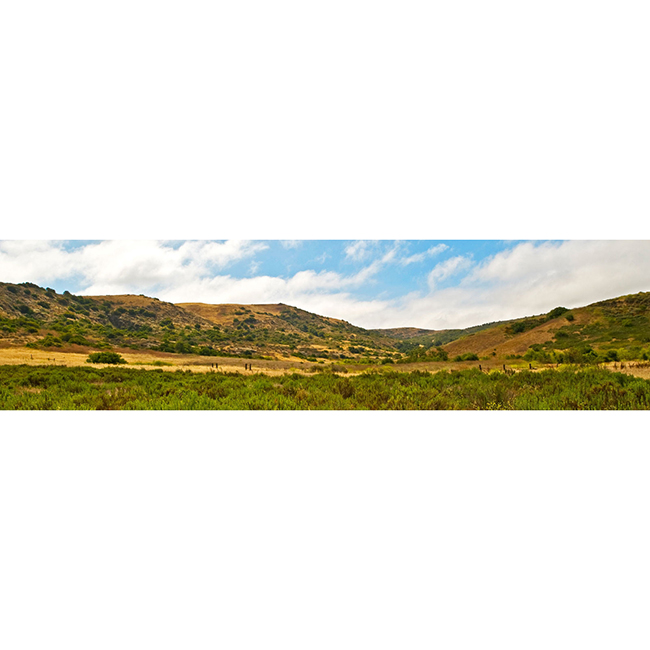 2Bommer-Canyon-3662-1600×420