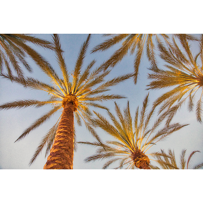 4pexels-jessica-lewis-creative-1470707