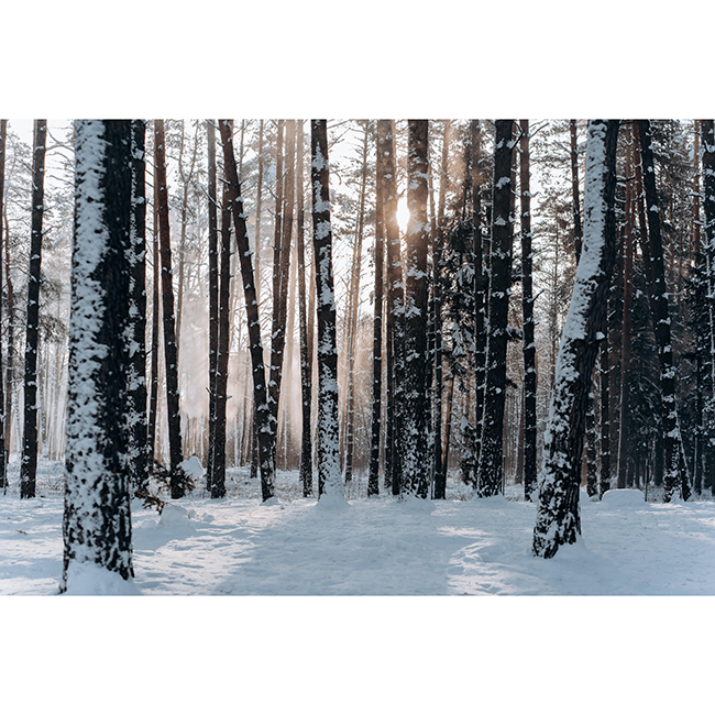 8-pexels-mikhail-nilov-6526177